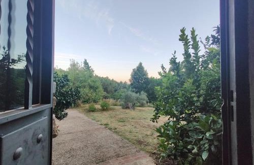 Arenas de San Pedro House | Casa Rural Las Gesillas