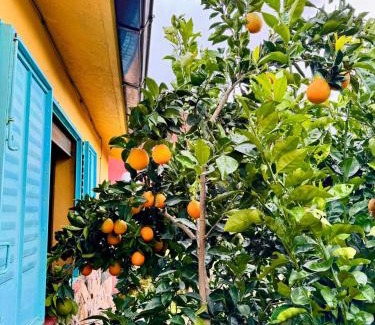 Arenas de San Pedro House | Casa Rural Las Gesillas