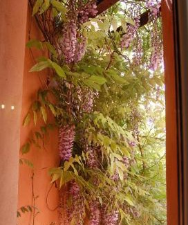 Olbia City Centre House | Casa Satta 1925