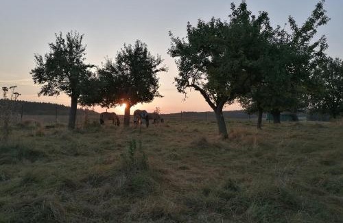 Kaltenholzhausen Apartment | Casa Schrader