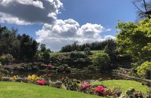 Valdivia House | Casa Viña