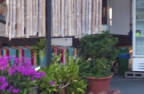 San Isidro de Grecia Apartment | Casa Yayaz - rainforest lodge in the mountains