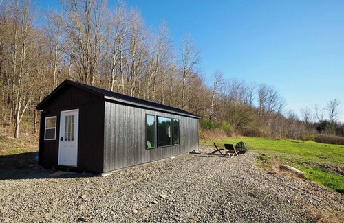 Hammondsport Cabin | Casita: Near Wineries & Keuka Lake: 100"Projector