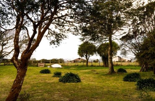 Ancud Villa | Casona Grande con Spa orilla del mar