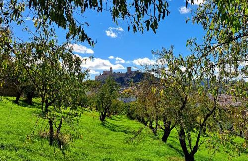 Alcala la Real House | Cauchil Chico