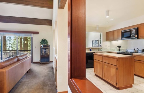 Tahoe Woods Condo | Cedar Point Condo with Buoy & Pool