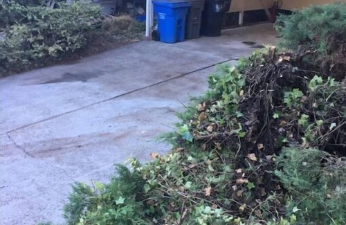 Junior College Neighborhood Association House | *Central A/C Quiet Safe Excellent Location Fenced In Back Yard Pets Welcomed*