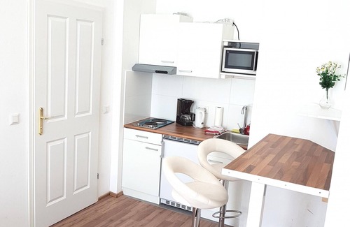 Roßau Apartment | Central Apartment close to inner ring metro airconditioned A32