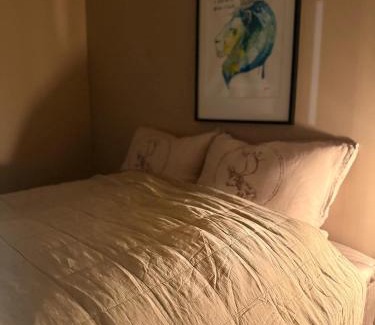 Tromso Apartment | Central Apartment in Down Town Aurora villa