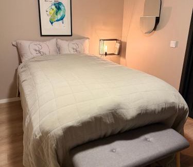 Tromso Apartment | Central Apartment in Down Town Aurora villa