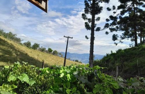 Sao Bento do Sapucai House | Chácara Araucaria