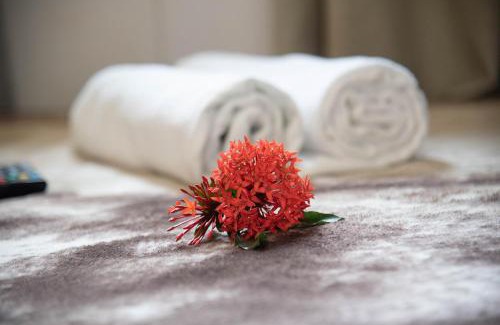 Nobres House | Chalé Container Nobres Asa Própria