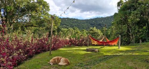 Sao Francisco Xavier House | Chalé Fazenda das Águas