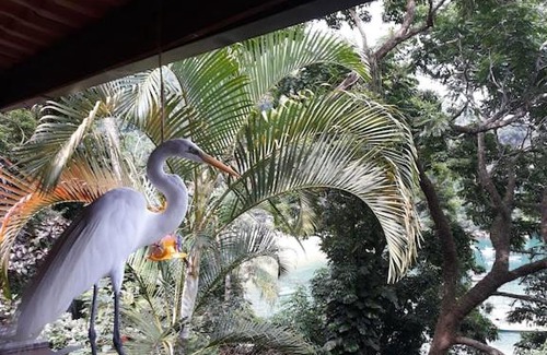 Ilha Grande House | chale pouso da mariposa