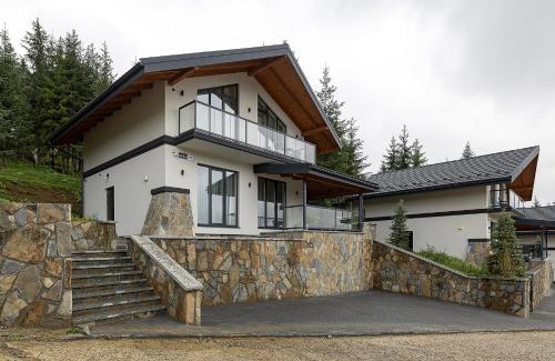 Bukovel Ski Chalet | Chalet 348