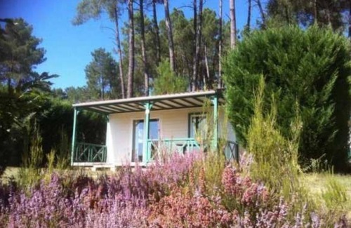 Tamnies Ski Chalet | Chalet 4 étoiles - Piscine - eeecid