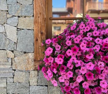 Livigno Apartment | Chalet Bellavista