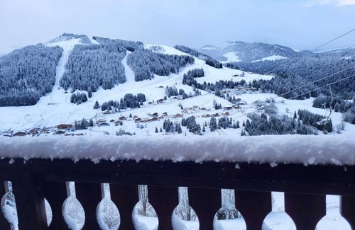 Notre-Dame-de-Bellecombe Ski Chalet | CHALET LILOU, small renovated chalet facing the slopes
