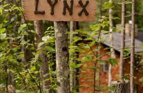 Mauricie Ski Chalet | Chalet Lynx