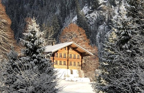 Hünibach Ski Chalet | Chalet on the way