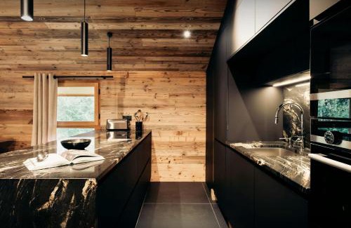 Pralognan-la-Vanoise Ski Chalet | Chalet Rongbuk - OVO Network