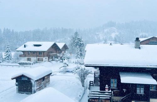 Kandersteg Apartment | Chalet Santa Maria