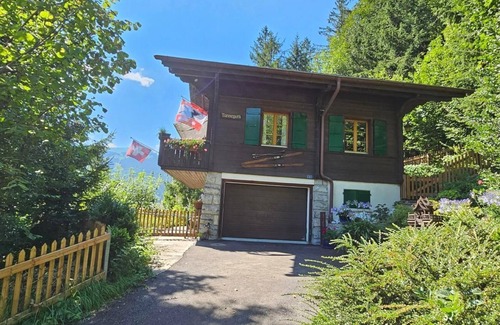 Grindelwald Ski Chalet | Chalet Tannegüetli