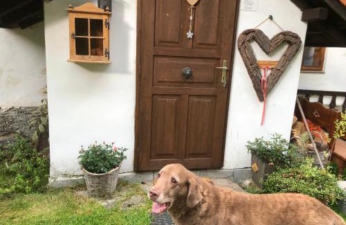 Nova Pec House | Chaloupka u Jiřího