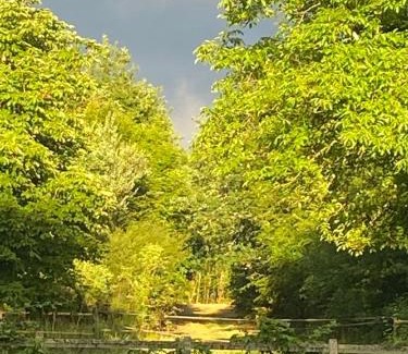 Rogny-les-Sept-Ecluses House | Chambre d'hôtes La Boursicauderie