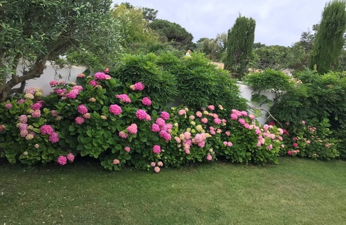Les Portes-en-Re House | Charm, calm, sun, located at walking distance of the village center and beaches