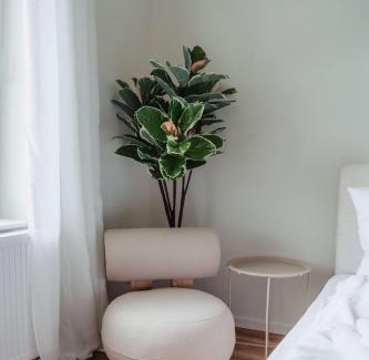 Celle House | Charmantes Apartment in perfekter Lage mit kostenlosem Parken
