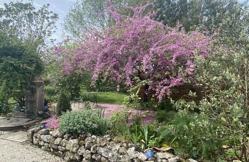 Saint-Ciers-sur-Gironde House | Charming Gironde farmhouse