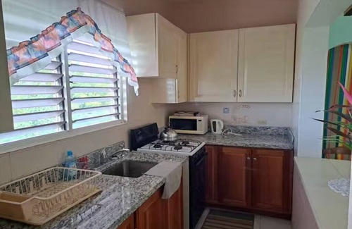 Saint Andrew Apartment | Charming 1-bedroom apartment with WiFi, AC in lovely Kingston