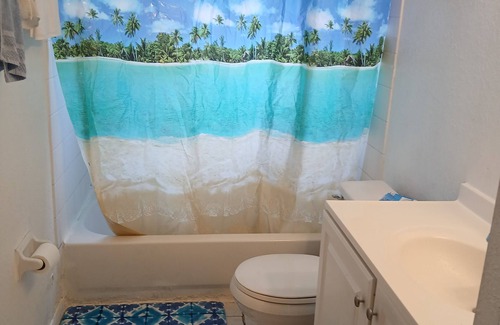 St. Petersburg - Clearwater House | Charming 3-bedroom house in delightful St. Petersburg with AC