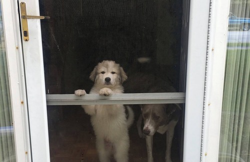 De Pere House | Charming 3-bedroom house with AC and WiFi in De Pere