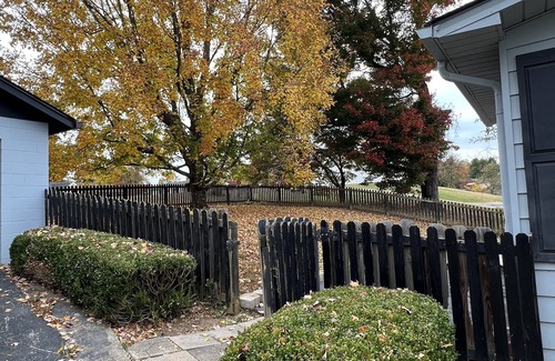 Somerset House | Charming 4 bedroom - 5 minute walk to downtown! (Dog friendly)