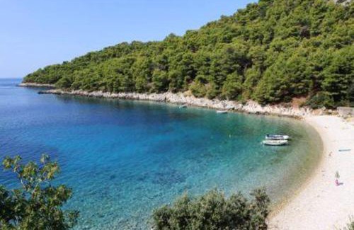 Gdinj Apartment | Charming Apartment with Sea View, Gdinj, 70 m², Garden