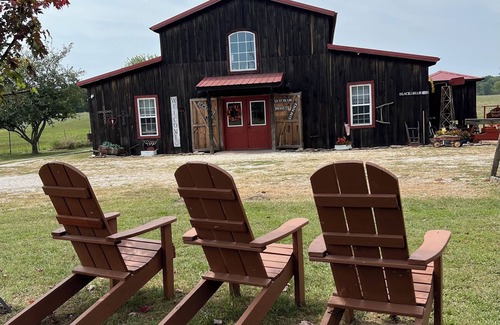 Rogersville House | Charming barn with AC in Rogersville - 2 bedrooms available
