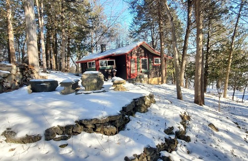Hastings Cottage | Charming cabin in Afton, with seasonal views of river! Ski , snowshoe, relax!