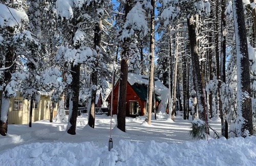 Tahoe Island Cabin | Charming, Cozy Cabin. Close to Beaches, Hiking and Skiing - Sleeps 4