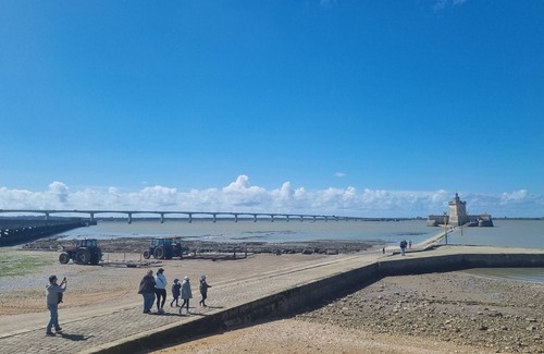 Bourcefranc-le-Chapus Apartment | Charming self-catering cottage, terrace, close to beaches and Ile d'Oléron