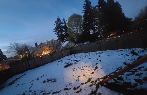 Madison South House | Charming Historical Portland Home with a Huge Fenced Yard