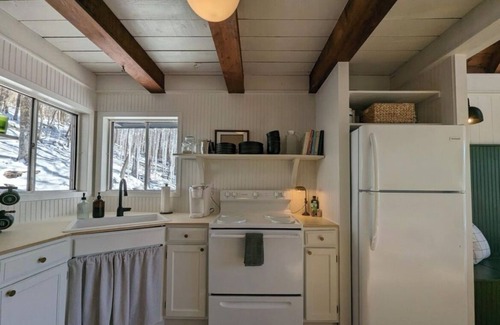 Flat Hollow Marina Cabin | Charming Norris Lake Cabin with views and boat slip @ Marina!