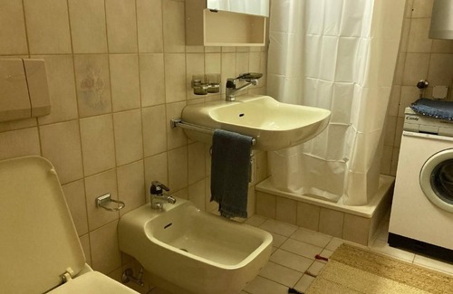 S-chanf Other | Chesa alb sco'l floc