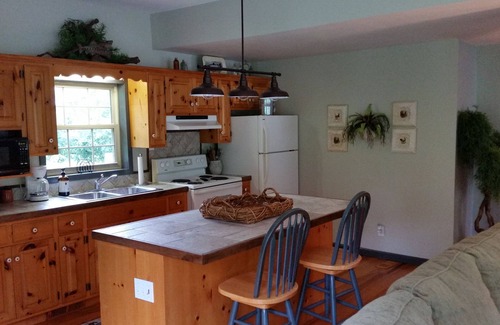 Calico Rock House | Chessmond ferry cabin