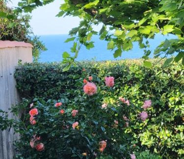 Santa-Severa Bed & Breakfast | CHEZ ISABELLE