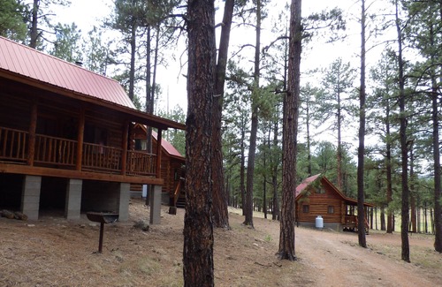 Alpine Cabin | Circle Pine Ranch- "The Real Log Cabin Experience"