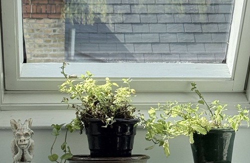 Osterbro Apartment | City Apartment in Copenhagen with 1 bedrooms sleeps 2