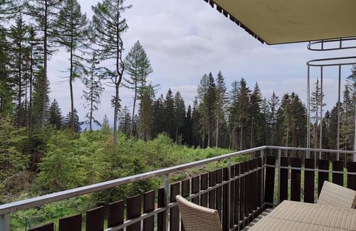 Stutzengrun Apartment | Clara H B to 4 - Standard - Haus Kuhberg