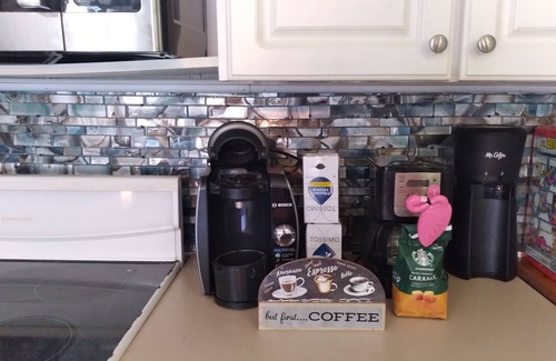 Clearwater House | Clearwater 5 minutes from Blue Jays Training Camp !n Romy's Coastal Cottage